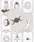 Individual Tarot Card Draw